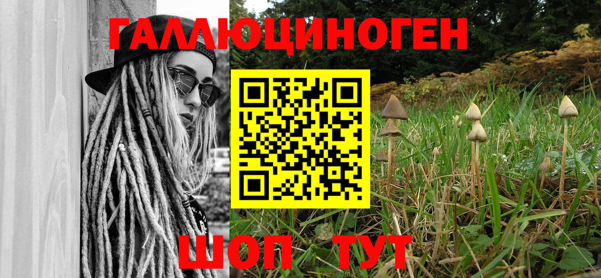 Псилоцибиновые грибы GOLDEN TEACHER Ипатово