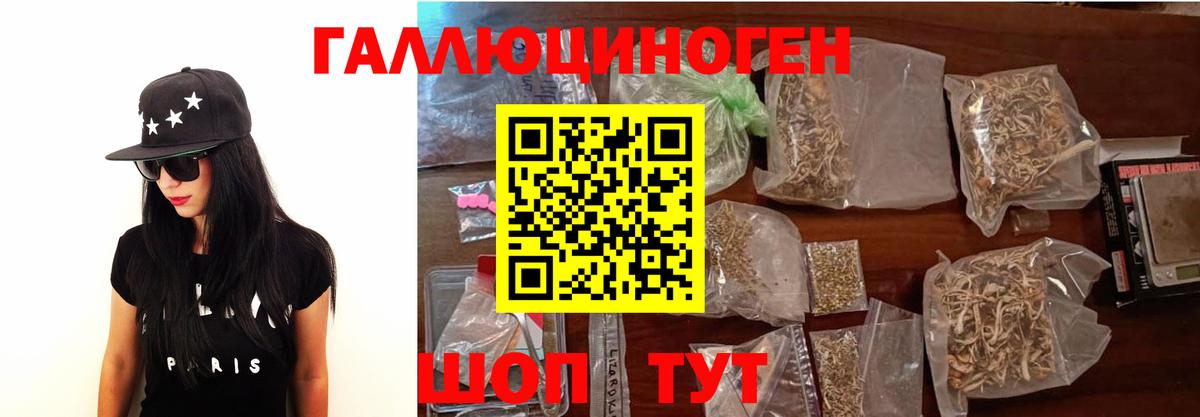 Псилоцибиновые грибы Psilocybe  Вход с VPN  Ипатово  Галлюциногенные грибы мицелий 